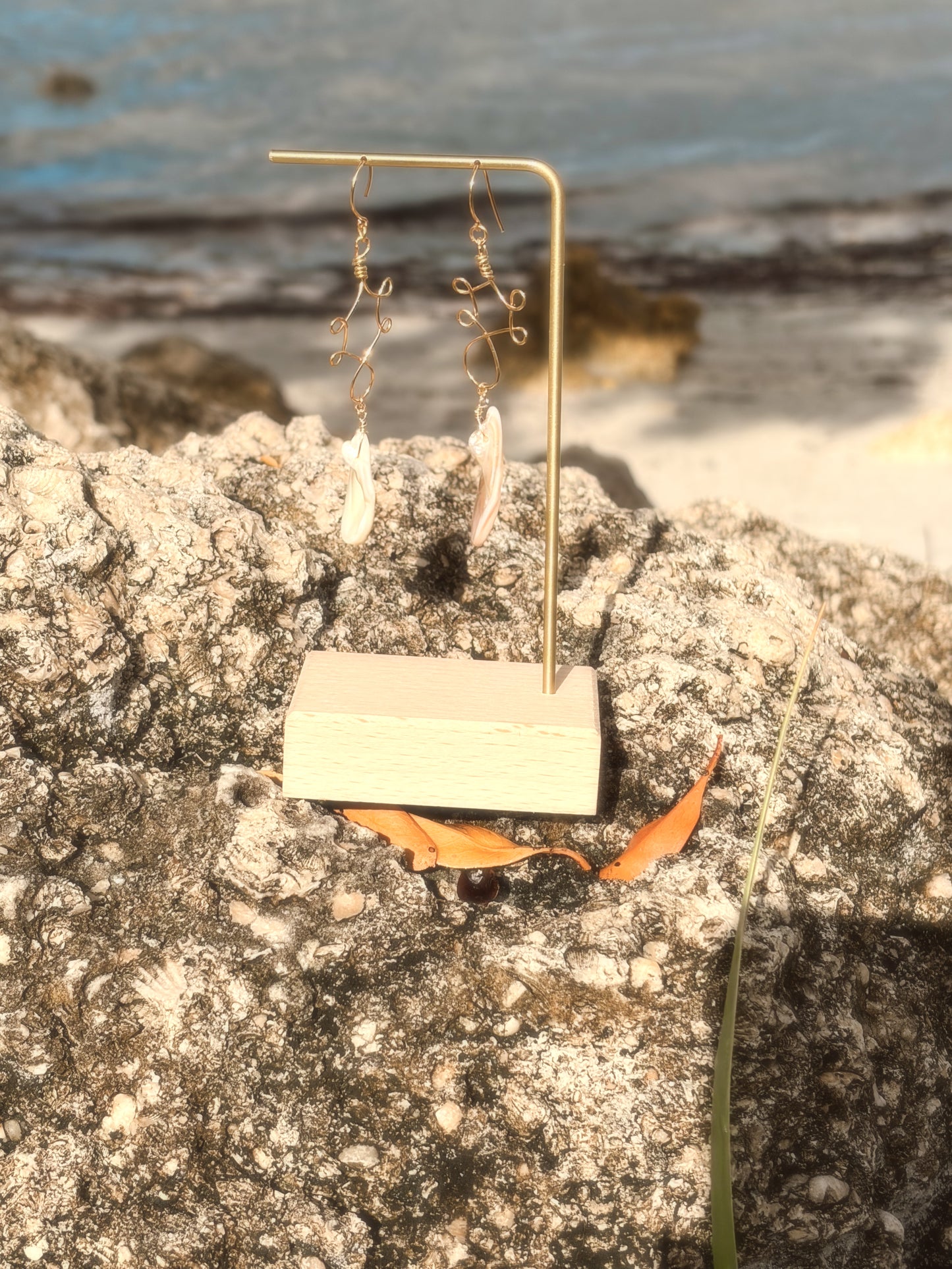 Pair of earrings on a stand with a scenic background , wire wrapped stainless steel gold brass earrings with an abalone shell beads.