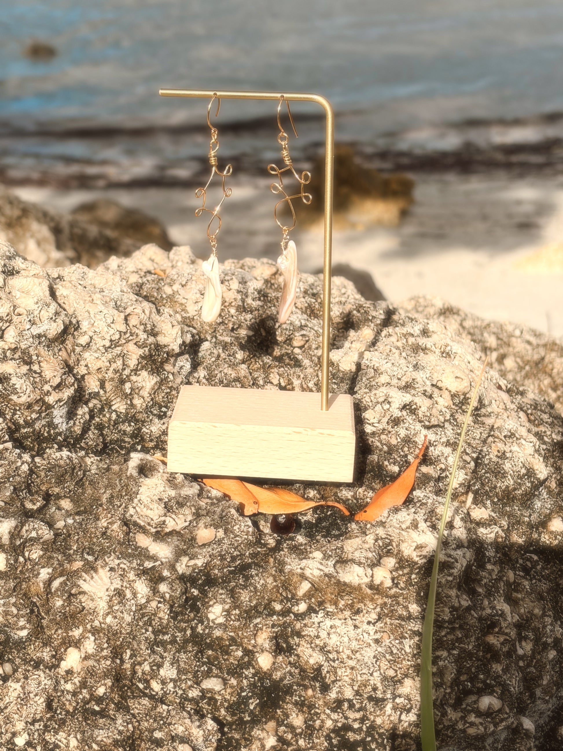 Pair of earrings on a stand with a scenic background , wire wrapped stainless steel gold brass earrings with an abalone shell beads.